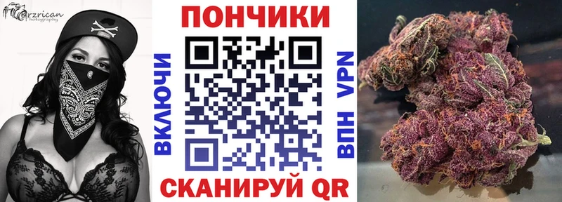 Конопля ГИДРОПОН  Железногорск-Илимский 